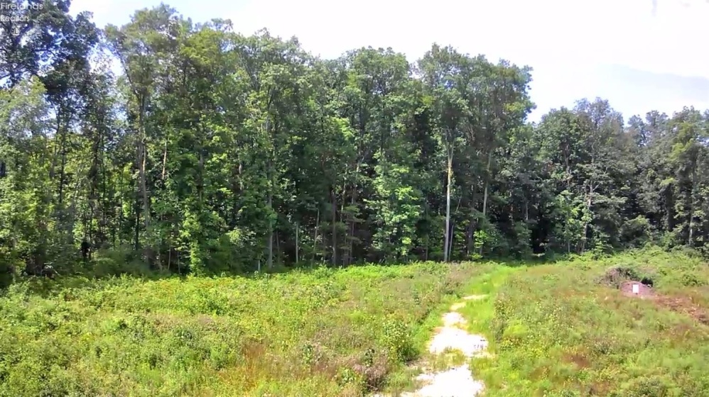 10701 Strecker Road, Bellevue, 44811, ,Land,For Sale,Strecker,20253314