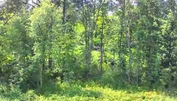 10701 Strecker Road, Bellevue, 44811, ,Land,For Sale,Strecker,20253314