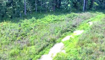 10701 Strecker Road, Bellevue, 44811, ,Land,For Sale,Strecker,20253314