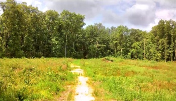 10701 Strecker Road, Bellevue, 44811, ,Land,For Sale,Strecker,20253314
