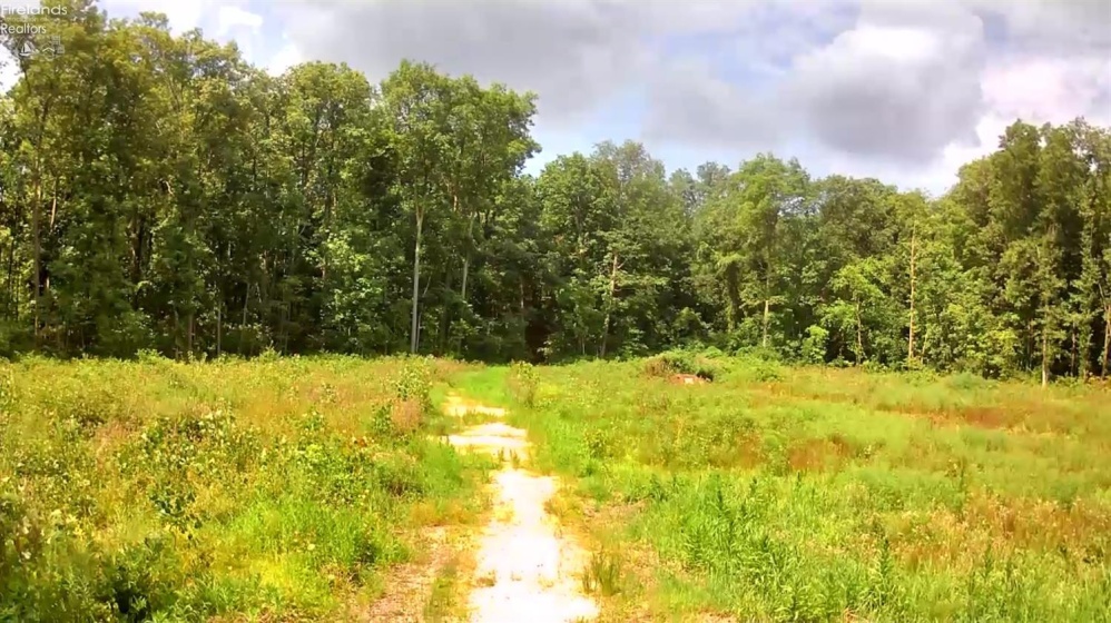10701 Strecker Road, Bellevue, 44811, ,Land,For Sale,Strecker,20253314