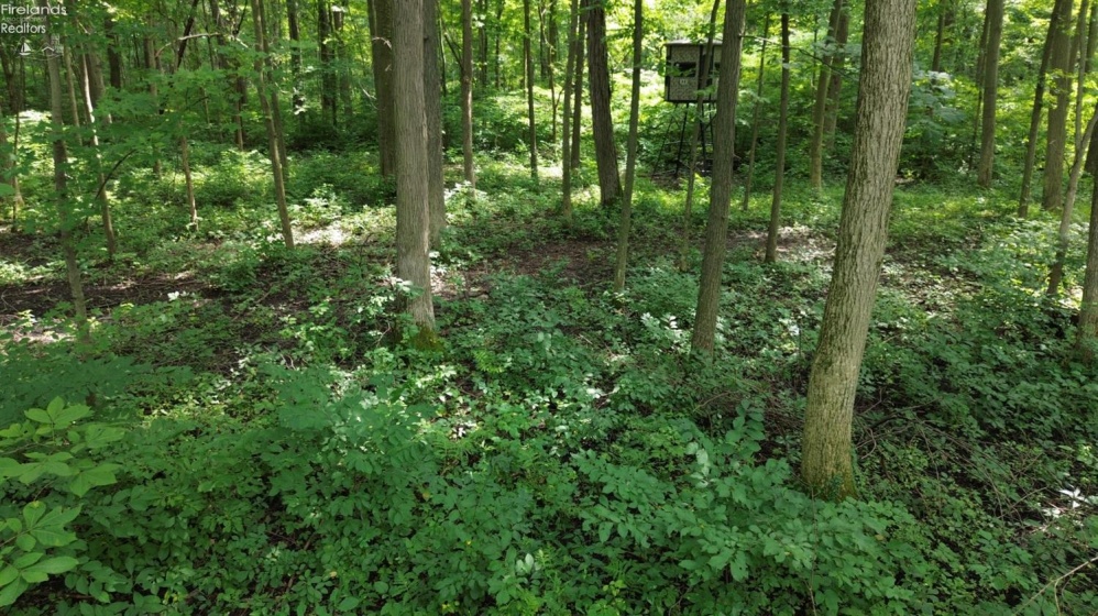 10701 Strecker Road, Bellevue, 44811, ,Land,For Sale,Strecker,20253314