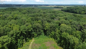 10701 Strecker Road, Bellevue, 44811, ,Land,For Sale,Strecker,20253314