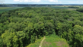 10701 Strecker Road, Bellevue, 44811, ,Land,For Sale,Strecker,20253314