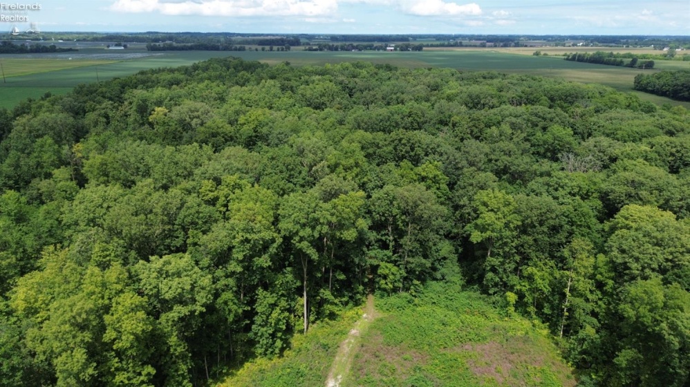 10701 Strecker Road, Bellevue, 44811, ,Land,For Sale,Strecker,20253314