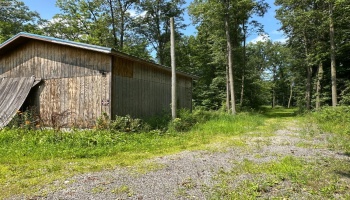 10701 Strecker Road, Bellevue, 44811, ,Land,For Sale,Strecker,20253314