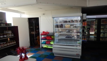423 Perkins Avenue, Sandusky, 44870, ,Commercial,For Sale,Perkins,20253324