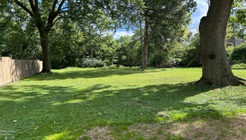 from the left side of lot facing the back, nice yard, nice shade tree.