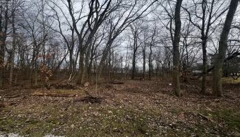 0 Maple Street, Greenwich, 44837, ,Land,For Sale,Maple,20253411
