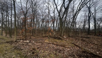 0 Maple Street, Greenwich, 44837, ,Land,For Sale,Maple,20253411