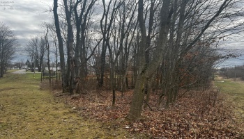 0 Maple Street, Greenwich, 44837, ,Land,For Sale,Maple,20253411