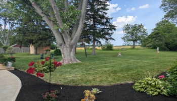 699 Toussaint South Road, Oak Harbor, 43449, 3 Bedrooms Bedrooms, ,2 BathroomsBathrooms,Residential,For Sale,Toussaint South,20252405 699 Toussaint South Road, Oak Harbor, 43449, 3 Bedrooms Bedrooms, ,2 BathroomsBathrooms,Residential,For Sale,Toussaint South,20252405