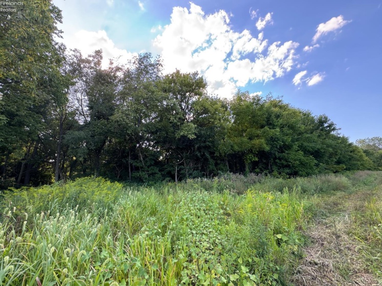 0 County Road 308, Bellevue, 44811, ,Land,For Sale,County Road 308,20253212