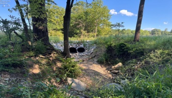 0 County Road 308, Bellevue, 44811, ,Land,For Sale,County Road 308,20253212