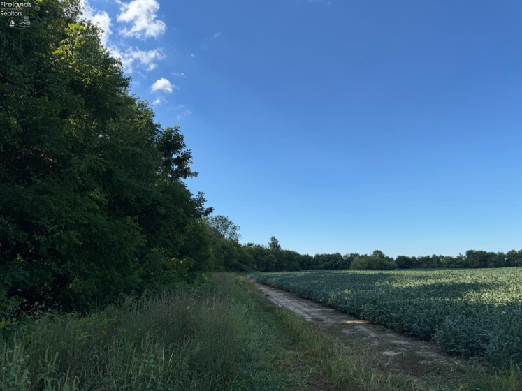 0 County Road 308, Bellevue, 44811, ,Land,For Sale,County Road 308,20253212