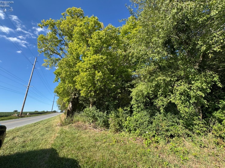 0 County Road 308, Bellevue, 44811, ,Land,For Sale,County Road 308,20253212
