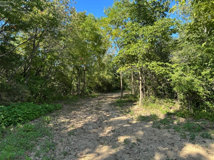 0 County Road 308, Bellevue, 44811, ,Land,For Sale,County Road 308,20253212