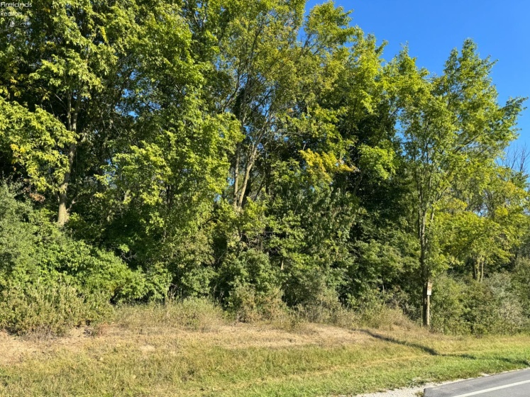 0 County Road 308, Bellevue, 44811, ,Land,For Sale,County Road 308,20253212