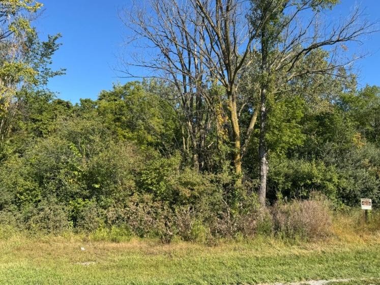 0 County Road 308, Bellevue, 44811, ,Land,For Sale,County Road 308,20253212