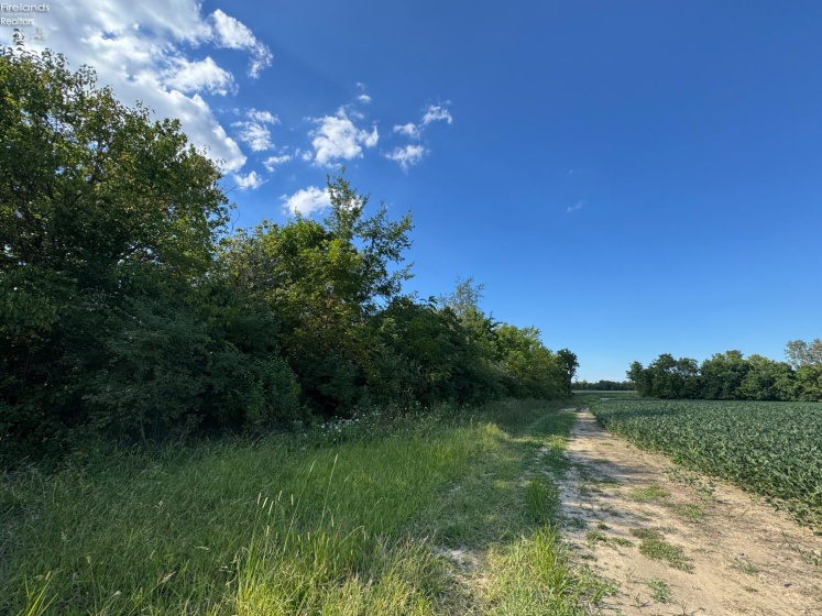 0 County Road 308, Bellevue, 44811, ,Land,For Sale,County Road 308,20253212