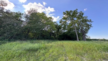 0 County Road 308, Bellevue, 44811, ,Land,For Sale,County Road 308,20253212