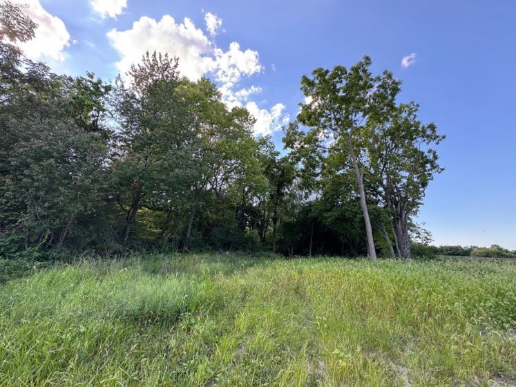 0 County Road 308, Bellevue, 44811, ,Land,For Sale,County Road 308,20253212