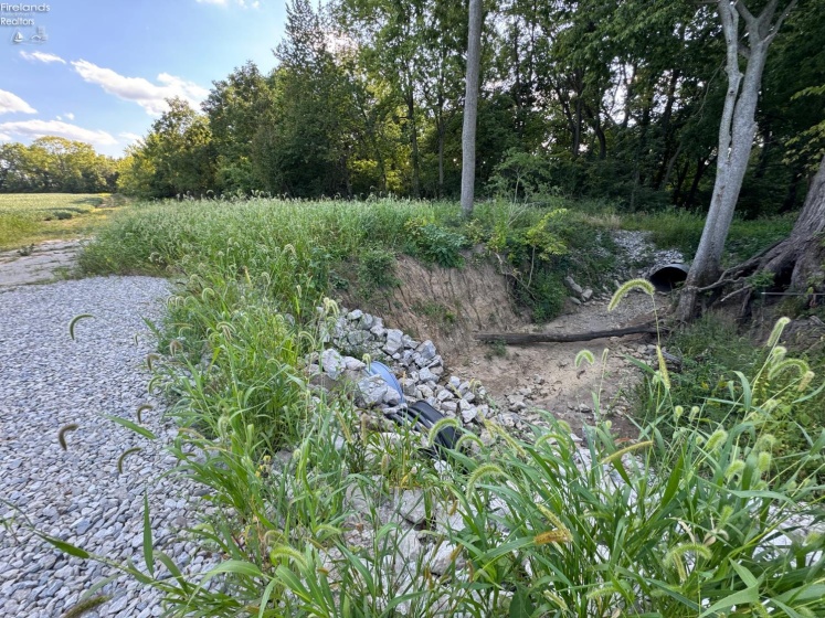 0 County Road 308, Bellevue, 44811, ,Land,For Sale,County Road 308,20253212