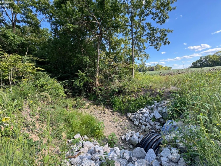 0 County Road 308, Bellevue, 44811, ,Land,For Sale,County Road 308,20253212