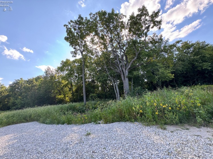0 County Road 308, Bellevue, 44811, ,Land,For Sale,County Road 308,20253212