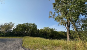 0 Cr 302, Bellevue, 44811, ,Land,For Sale,Cr 302,20253211