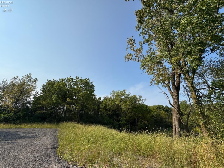 0 County Road 302, Bellevue, 44811, ,Land,For Sale,County Road 302,20253211