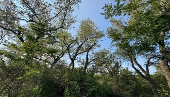 0 Cr 302, Bellevue, 44811, ,Land,For Sale,Cr 302,20253211