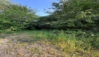 0 Cr 302, Bellevue, 44811, ,Land,For Sale,Cr 302,20253211