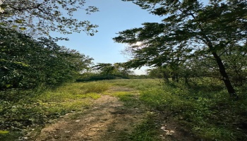 0 Cr 302, Bellevue, 44811, ,Land,For Sale,Cr 302,20253211