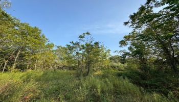 0 Cr 302, Bellevue, 44811, ,Land,For Sale,Cr 302,20253211