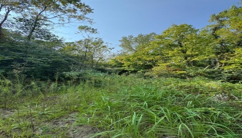 0 Cr 302, Bellevue, 44811, ,Land,For Sale,Cr 302,20253211