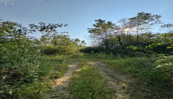 0 Cr 302, Bellevue, 44811, ,Land,For Sale,Cr 302,20253211