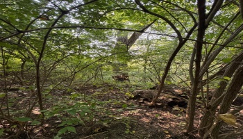 0 Cr 302, Bellevue, 44811, ,Land,For Sale,Cr 302,20253211