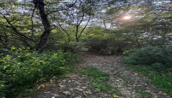 0 Cr 302, Bellevue, 44811, ,Land,For Sale,Cr 302,20253211