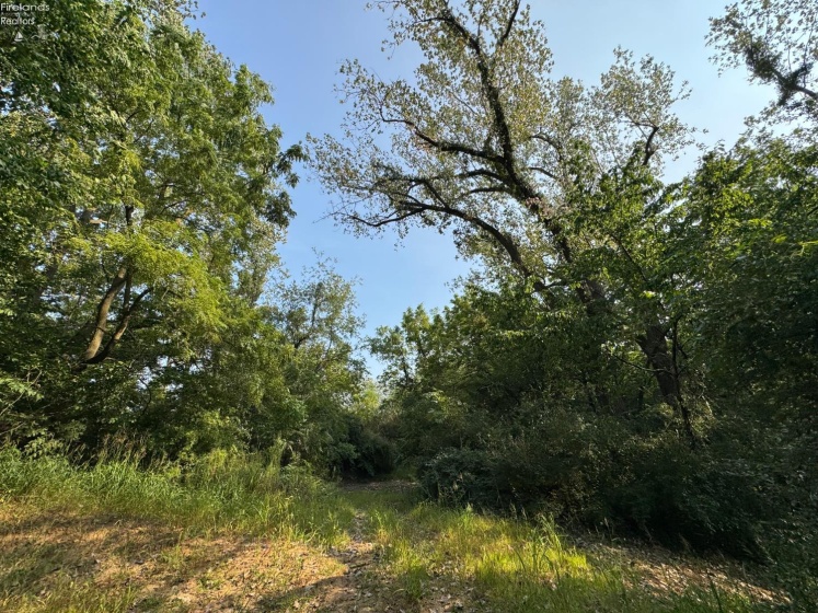 0 County Road 302, Bellevue, 44811, ,Land,For Sale,County Road 302,20253211