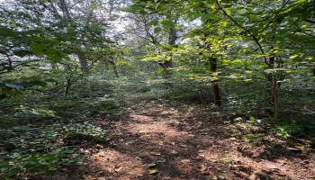 0 Cr 302, Bellevue, 44811, ,Land,For Sale,Cr 302,20253211