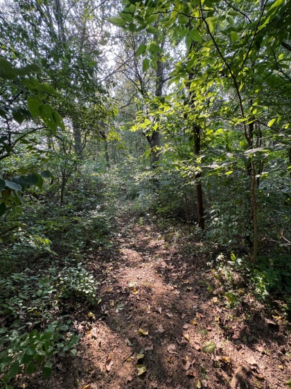 0 County Road 302, Bellevue, 44811, ,Land,For Sale,County Road 302,20253211