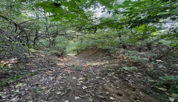 0 Cr 302, Bellevue, 44811, ,Land,For Sale,Cr 302,20253211