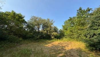 0 Cr 302, Bellevue, 44811, ,Land,For Sale,Cr 302,20253211