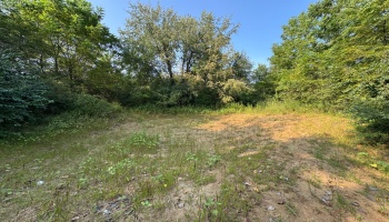 0 Cr 302, Bellevue, 44811, ,Land,For Sale,Cr 302,20253211
