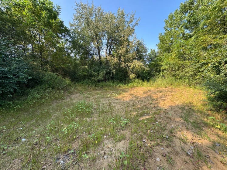 0 County Road 302, Bellevue, 44811, ,Land,For Sale,County Road 302,20253211
