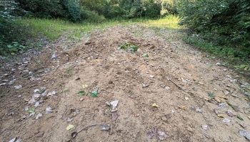 0 Cr 302, Bellevue, 44811, ,Land,For Sale,Cr 302,20253211