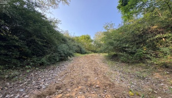 0 Cr 302, Bellevue, 44811, ,Land,For Sale,Cr 302,20253211