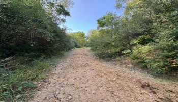 0 Cr 302, Bellevue, 44811, ,Land,For Sale,Cr 302,20253211