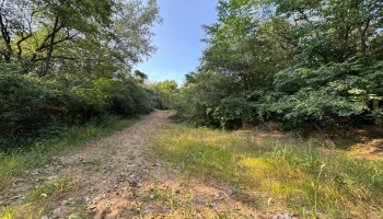 0 Cr 302, Bellevue, 44811, ,Land,For Sale,Cr 302,20253211
